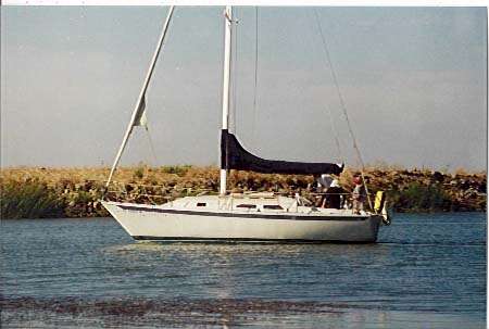 SAILBOAT.jpg (19911 bytes)